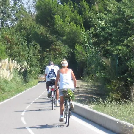 A 50 M De La Et Du Sentier Littoral Lägenhet *