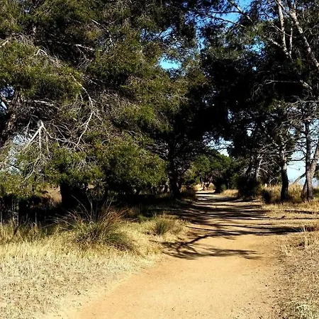 A 50 M De La Et Du Sentier Littoral Lägenhet Hyères