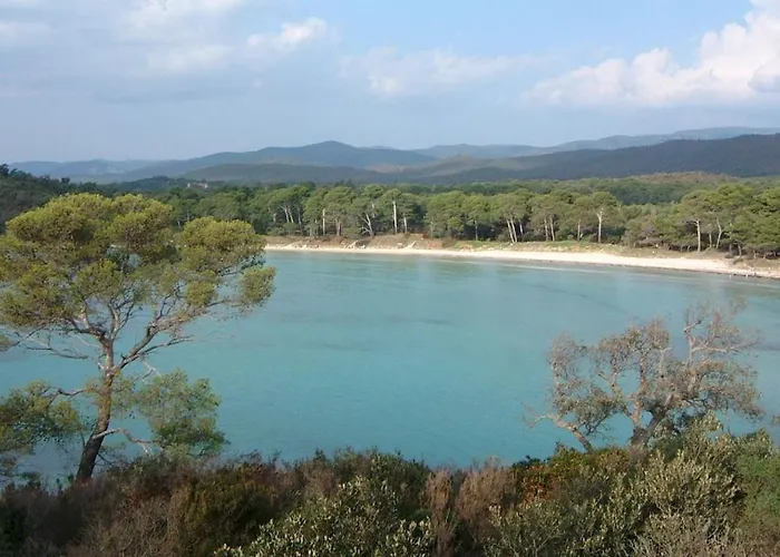 Apartament A 50 M De La Et Du Sentier Littoral Hyères